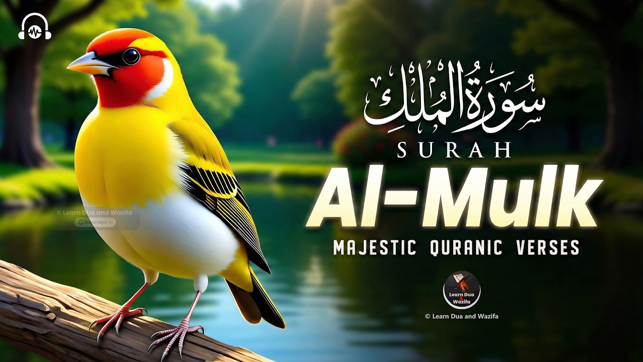Surah Al-Mulk سورة الملك | Heart Touching Quran Recitation With Urdu Translation | Qari Mansoor