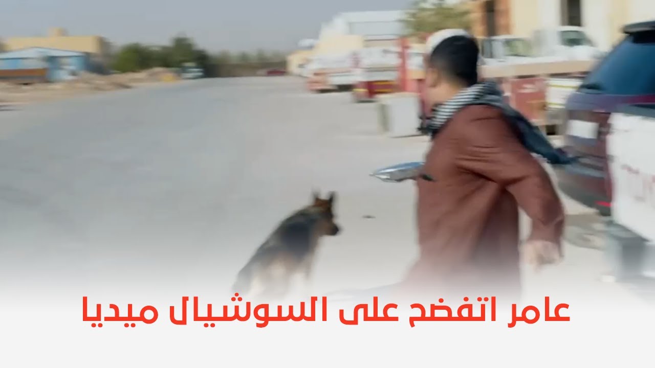 شباب البومب 10 | مي صورت عامر فيديو وفضحته على السوشيال ميديا!! 😳