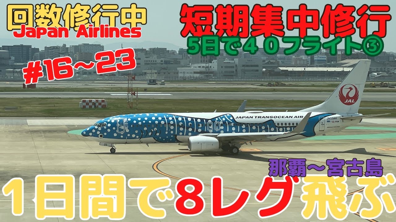 【JGC修行 回数修行】JAL回数修行　1日8フライト　沖縄宮古最大フライト数 #宮古島