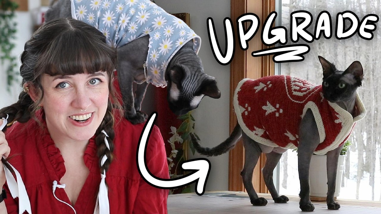 Making A (Heraldic) Fur Coat for my Hairless Cat!