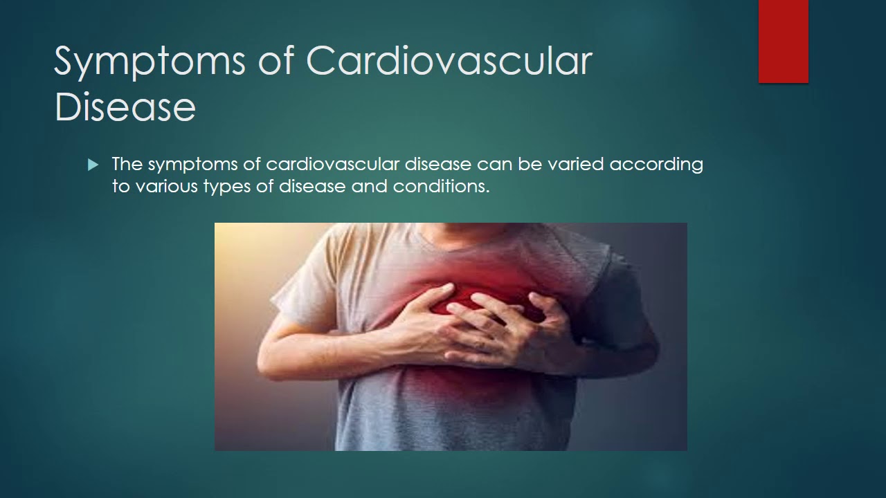 Evasione Shedir Pharma | What Are Cardiovascular Disease?