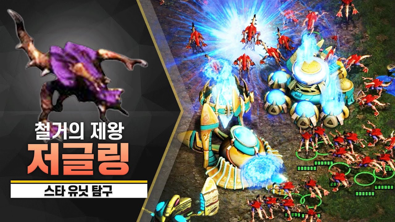 [스타 유닛 탐구] 저그의 시작과 끝 