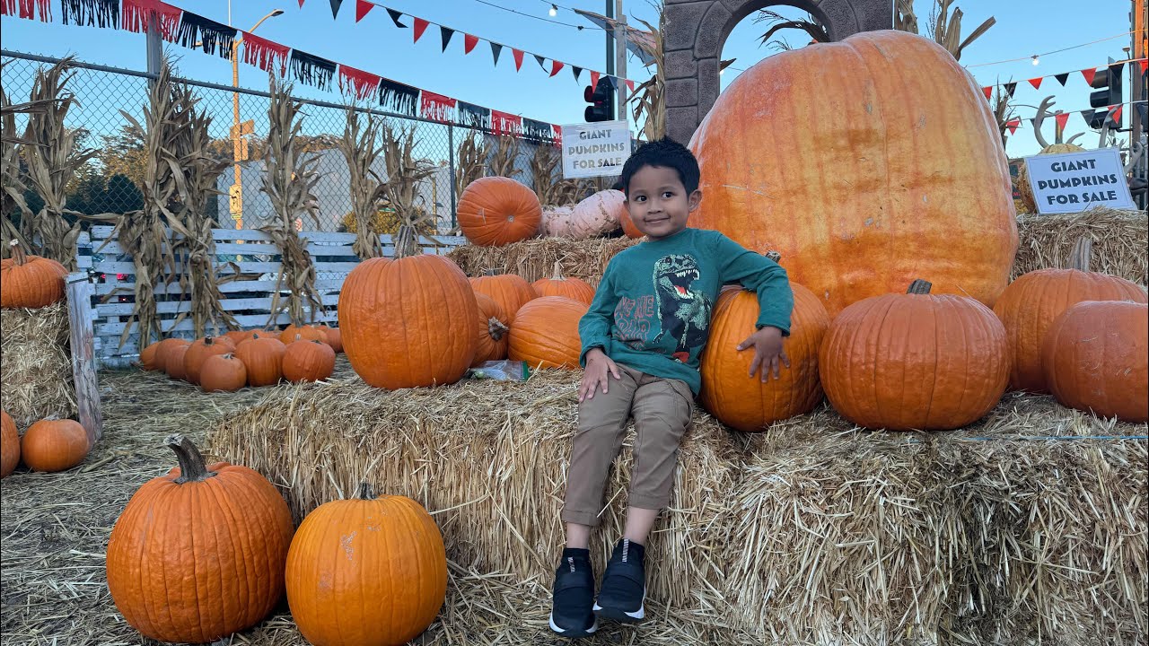 Pumpkin patch and birthday dinner for papa