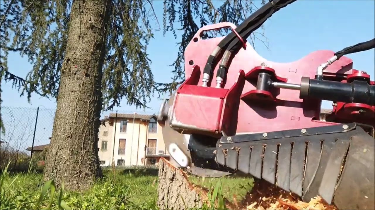 Fresaceppi Noleggio Lorini