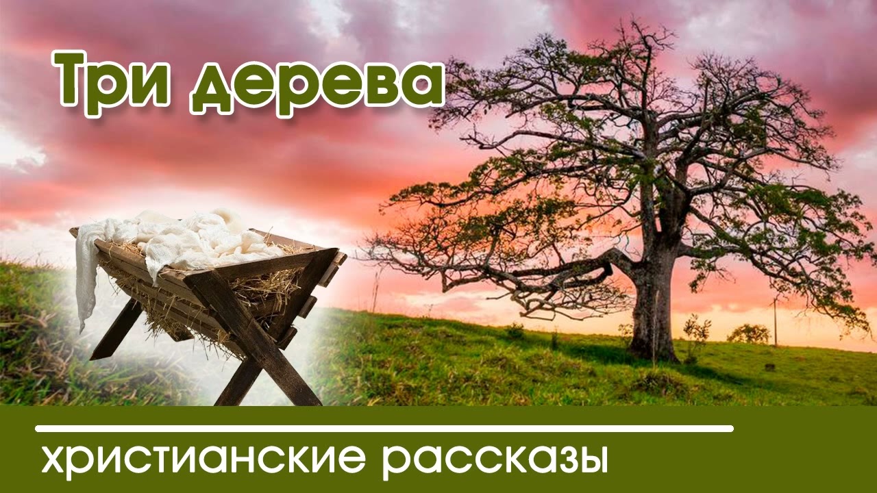 💫 Три дерева - ТРОГАТЕЛЬНЫЙ ХРИСТИАНСКИЙ РАССКАЗ | Христианские рассказы | Наталья Исмаилова