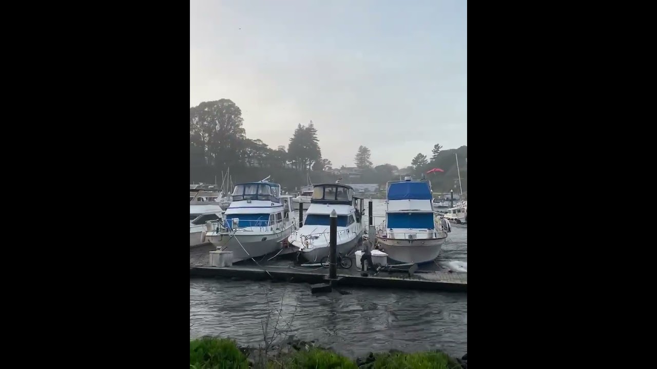 Waves surge through Santa Cruz Harbor © Meghan Robinson