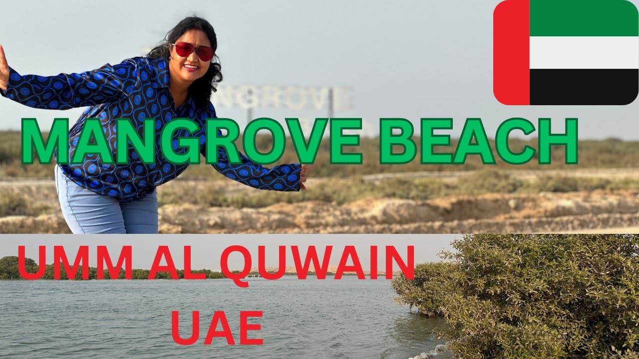 Mangrove Beach Umm Al Quwain UAE | Umm Al Quwain | Beautiful beaches of UAE#mangrove  #ummalquwain