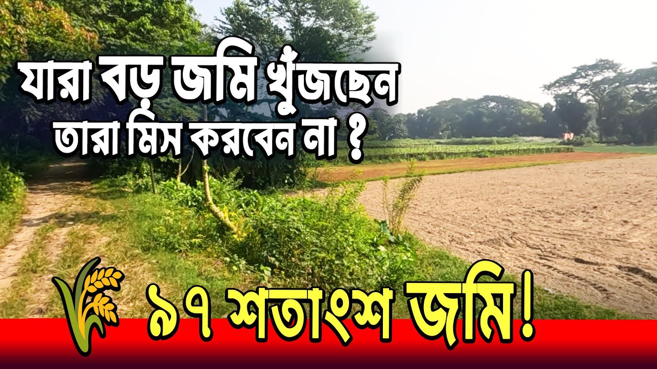 বিশাল জমি বিক্রি মোট ৯৭ শতাংশ 🌿 ঢাকার পাশে কেরানীগঞ্জে বড় জমি ✨ Land sell in Dhaka keraenaigonaj