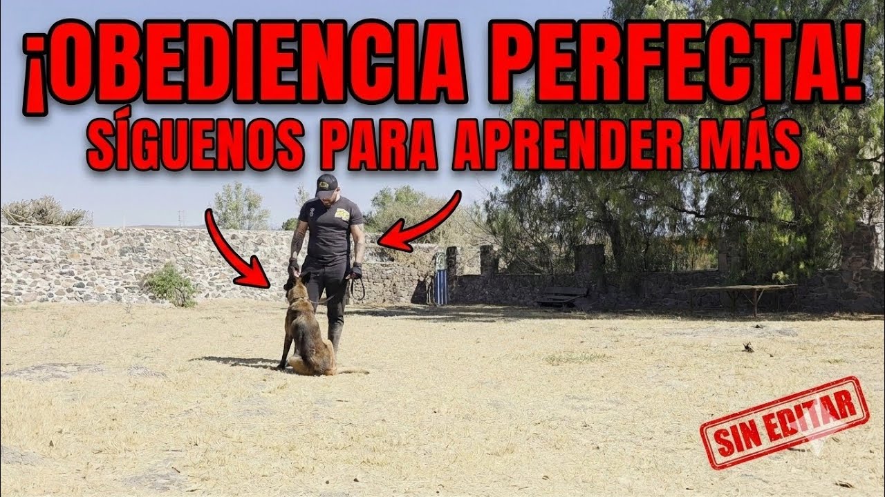 ​¡LA REALIDAD DEL ENTRENAMIENTO! 7 Minutos SIN EDITAR con Max 🤯 Aprende cómo se hace 