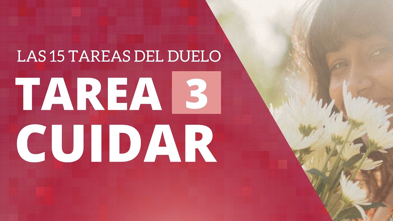 Tarea 3: CUIDAR