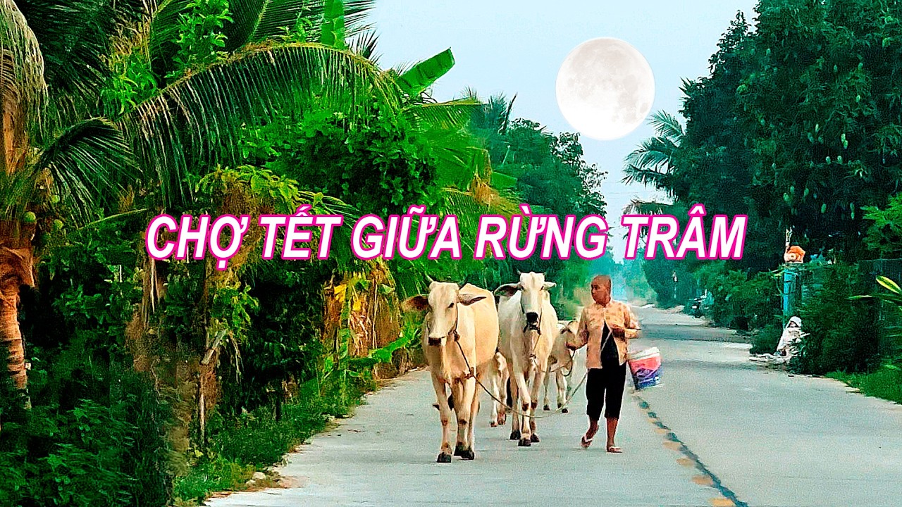 Say L&ograve;ng Miền T&acirc;y - Về Tri T&ocirc;n Ăn Tết Sớm Dưới B&oacute;ng Trăng Si&ecirc;u To Khổng Lồ