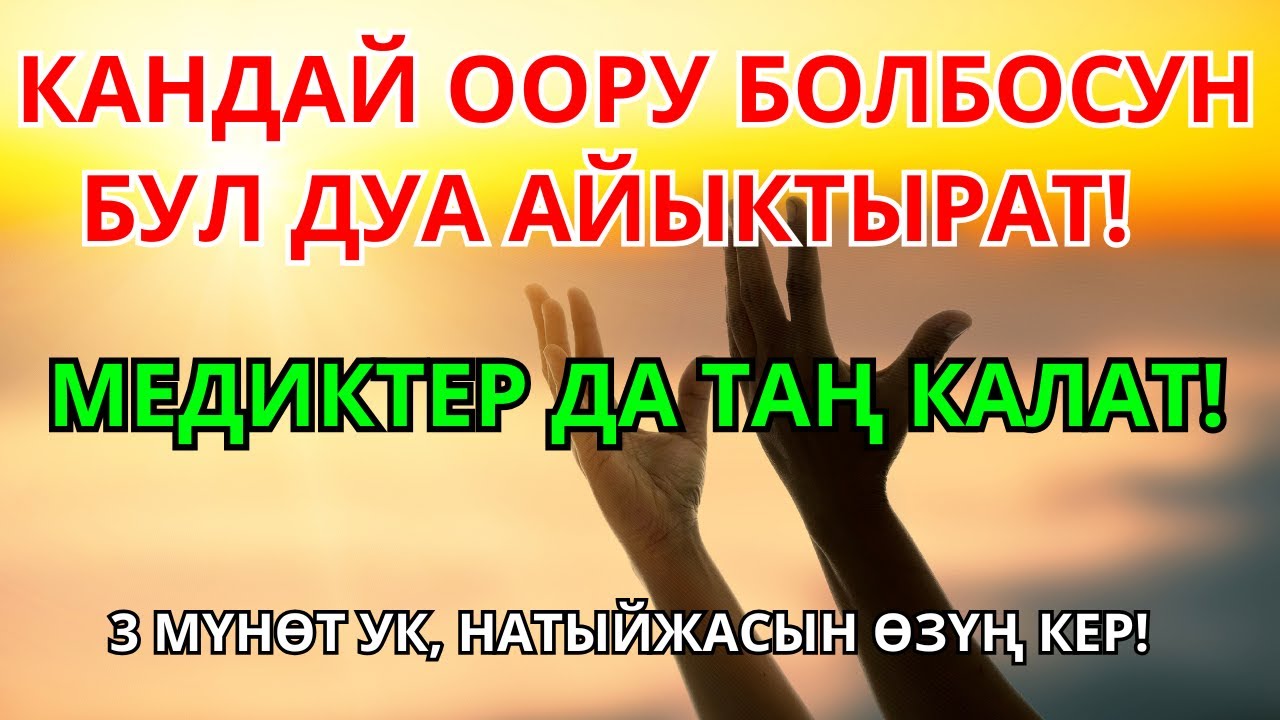 ДАРЫСЫ ЖОК ООРУГА ШЫПАА! Бул дуба менен керемет мүмкүн!