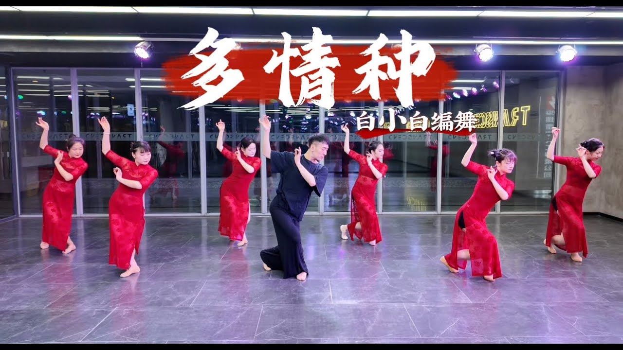 《多情种》2025 中国风爵士编舞完整版