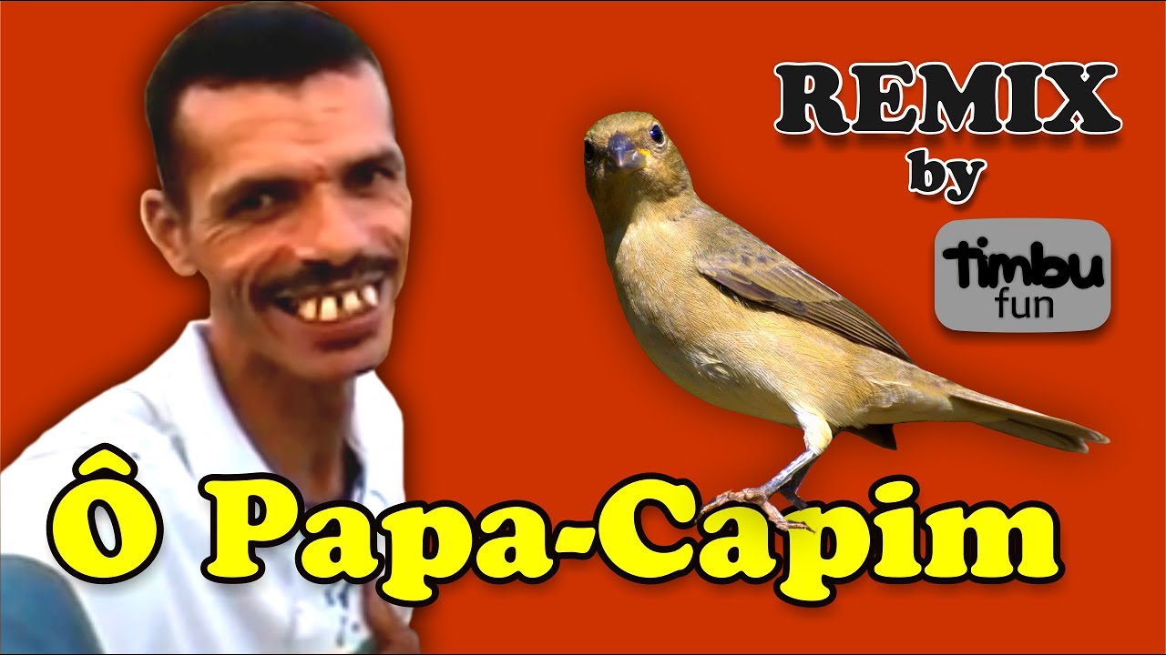 Ô Papa Capim (Remix) - By Timbu Fun