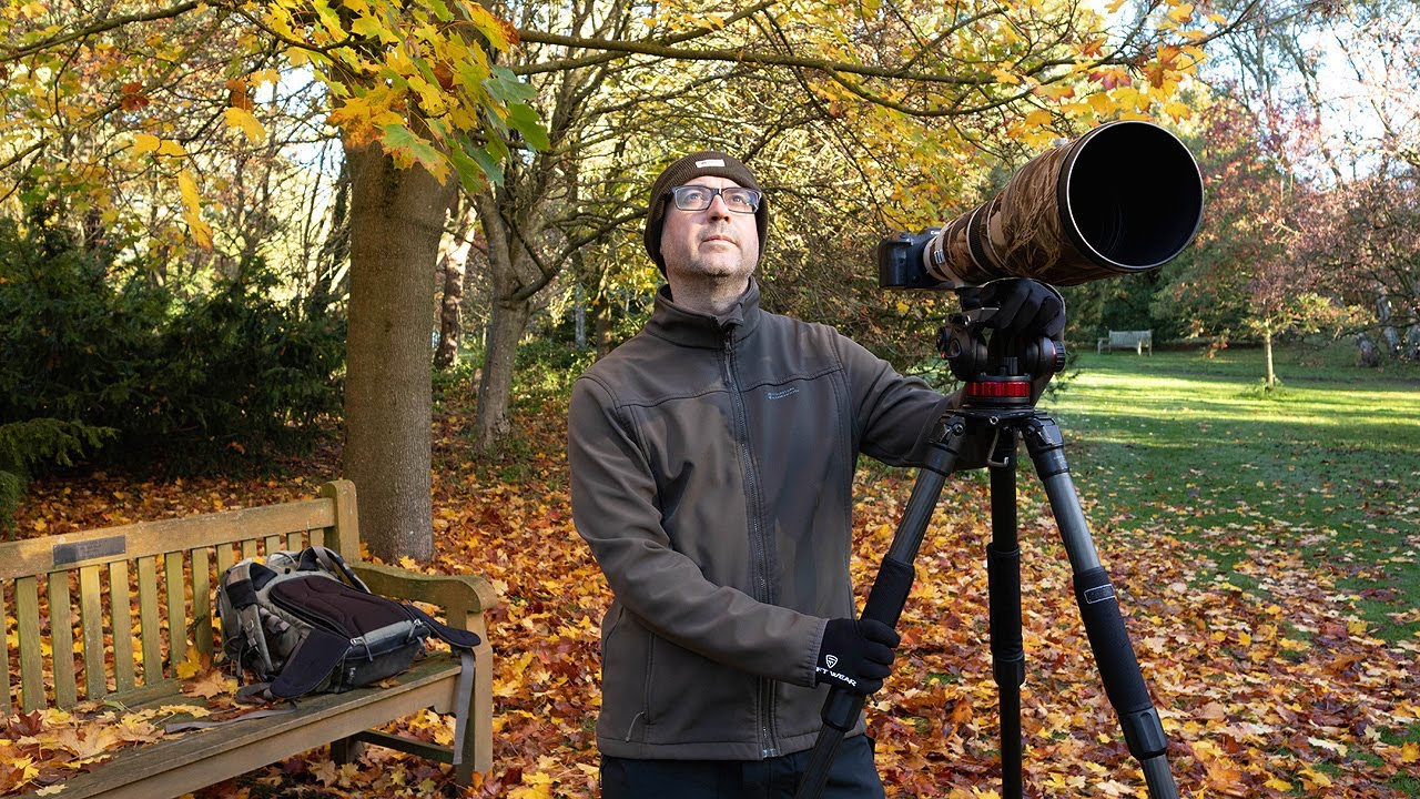 Фотосъёмка птиц в парке — окупится ли терпение? (Объектив EF 500mm F/4 и R6)