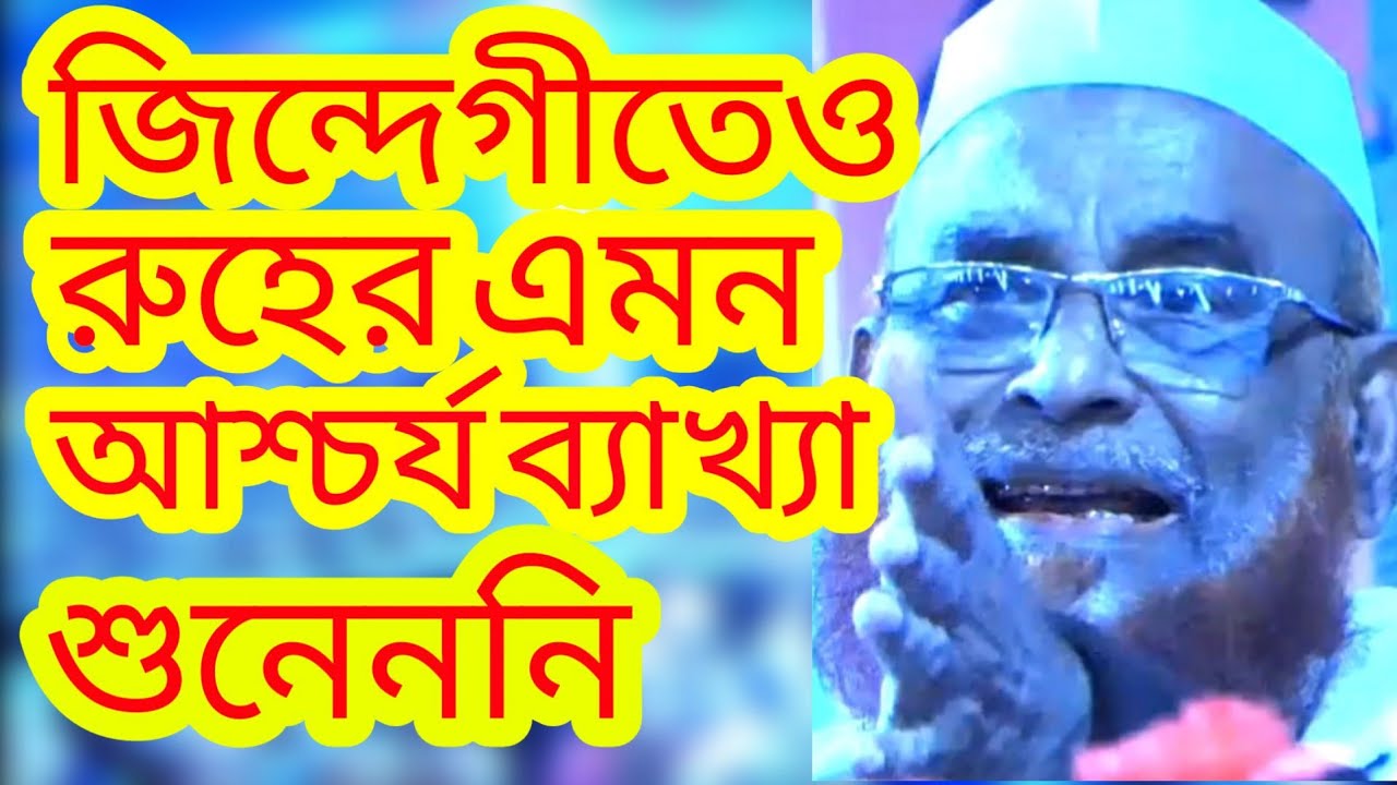 রুহ ও নফসের অবাক করা ব্যাখ্যা এবং নবীদের আত্মা আজীবন নিষ্পাপ ওলিপুরী Bangla Waz Olipuri