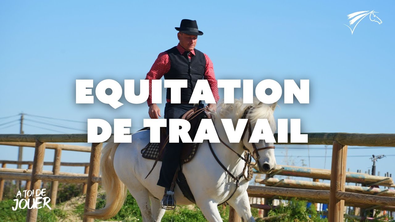 À toi de jouer :  Équitation de travail