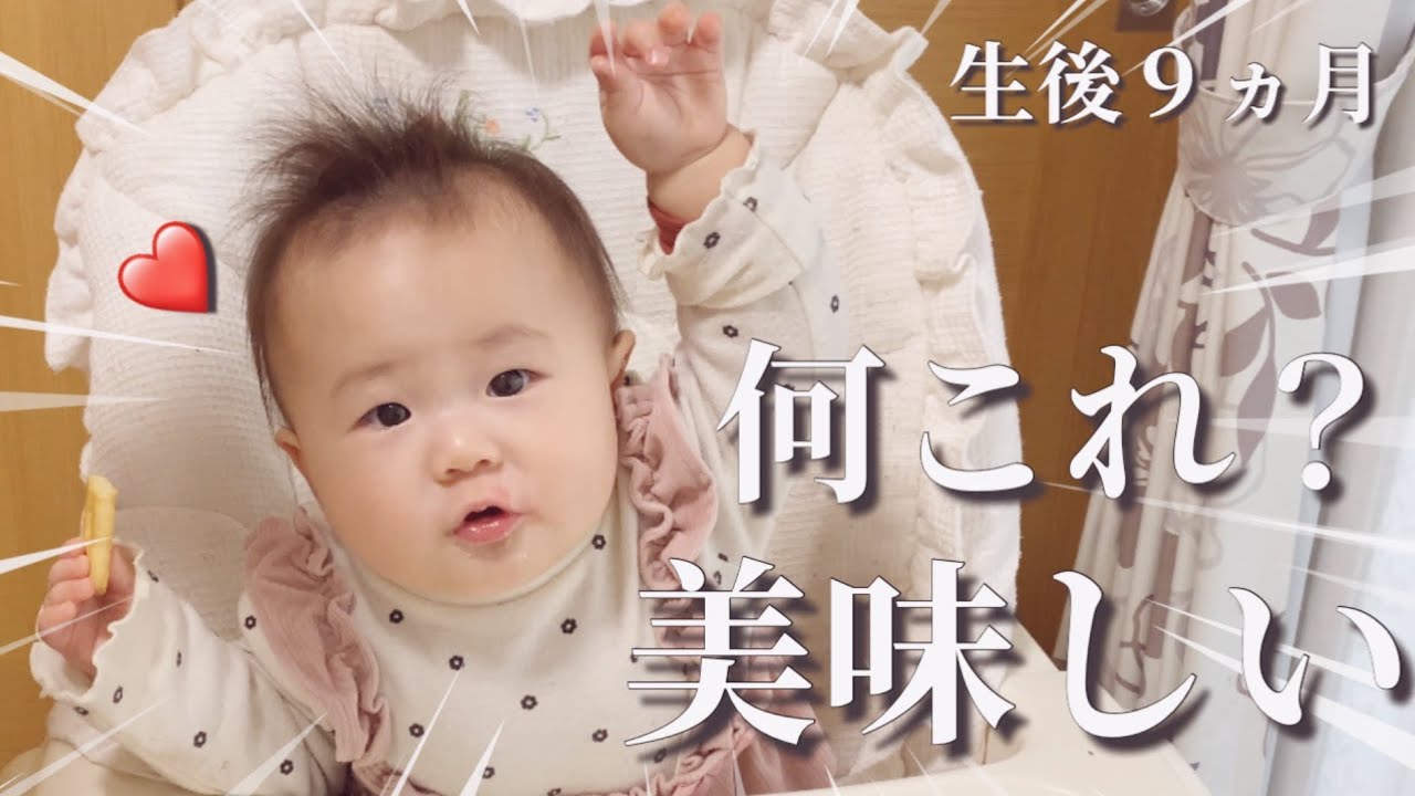 【生後９ヵ月】初めて食べた味に様々な表情をする赤ちゃん