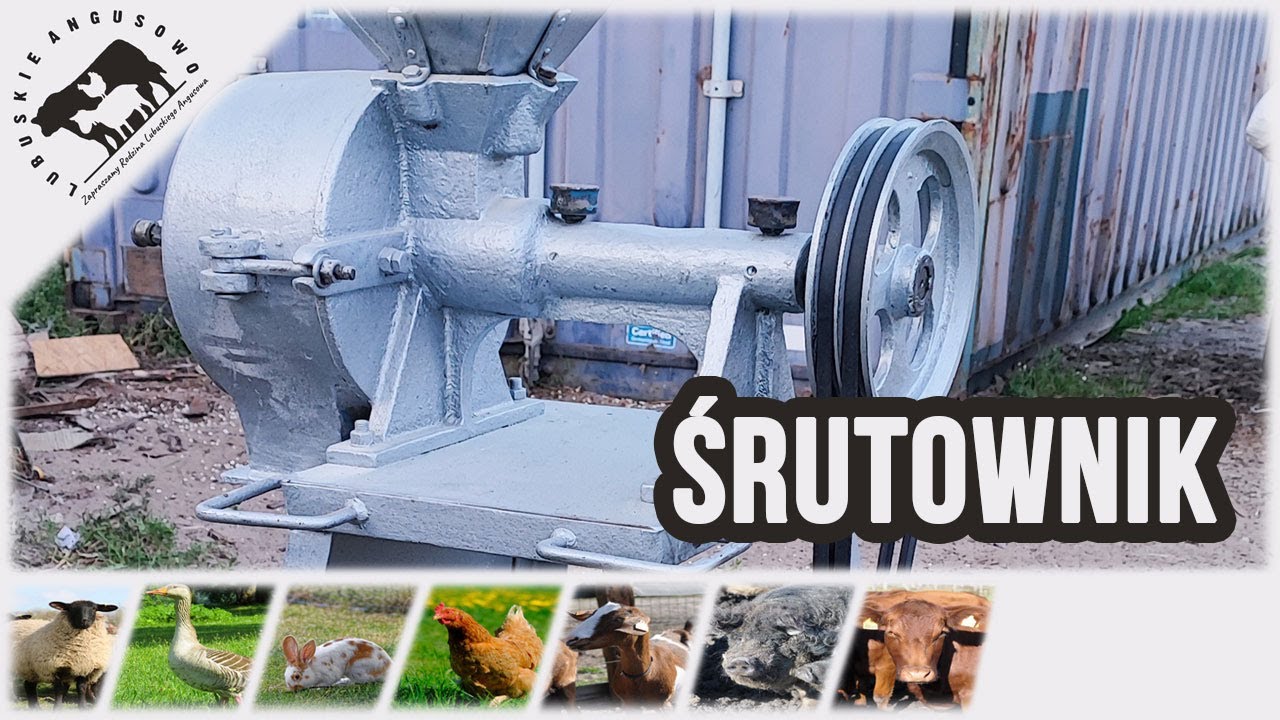 Lubuskie Angusowo - S6 E11 - Śrutownik