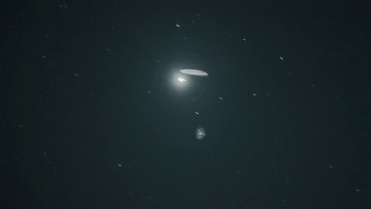 Worlds first true legit UFO photos right next to a bright Venus