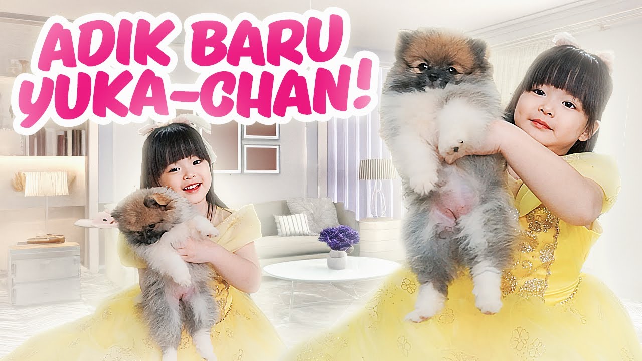 YUKA-CHAN ADOPSI ANAK ANJING LUCU! | a day in our life