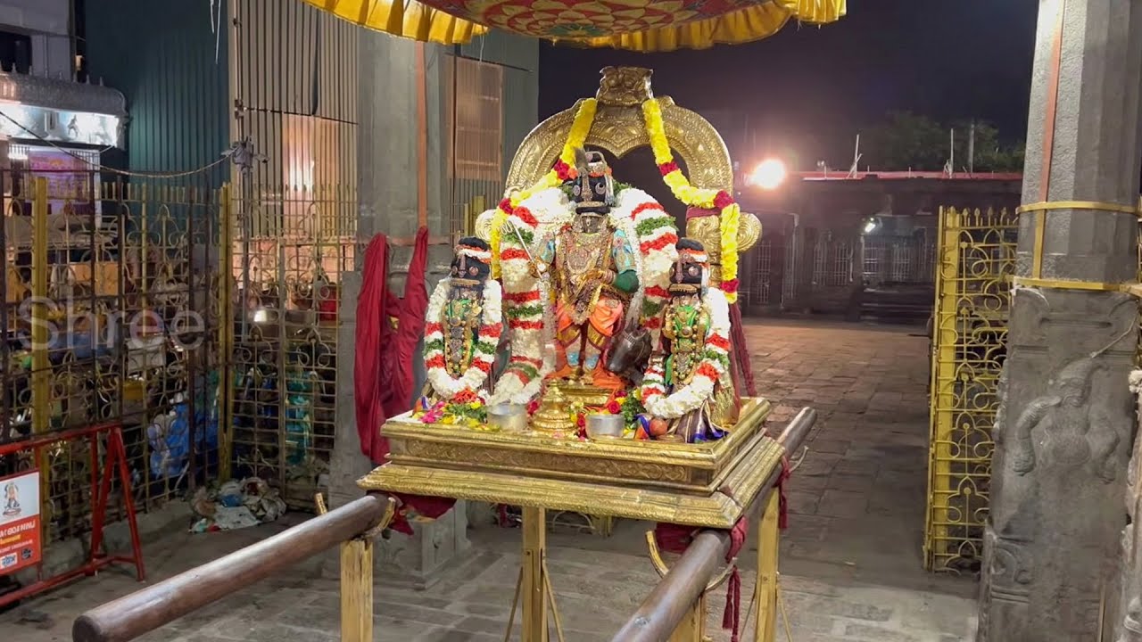பார்த்தசாரதி பெருமாள் இராப்பத்து உற்சவம் எட்டாவது நாள் புறப்பாடு | திருவல்லிக்கேணி | 2026 | Shree