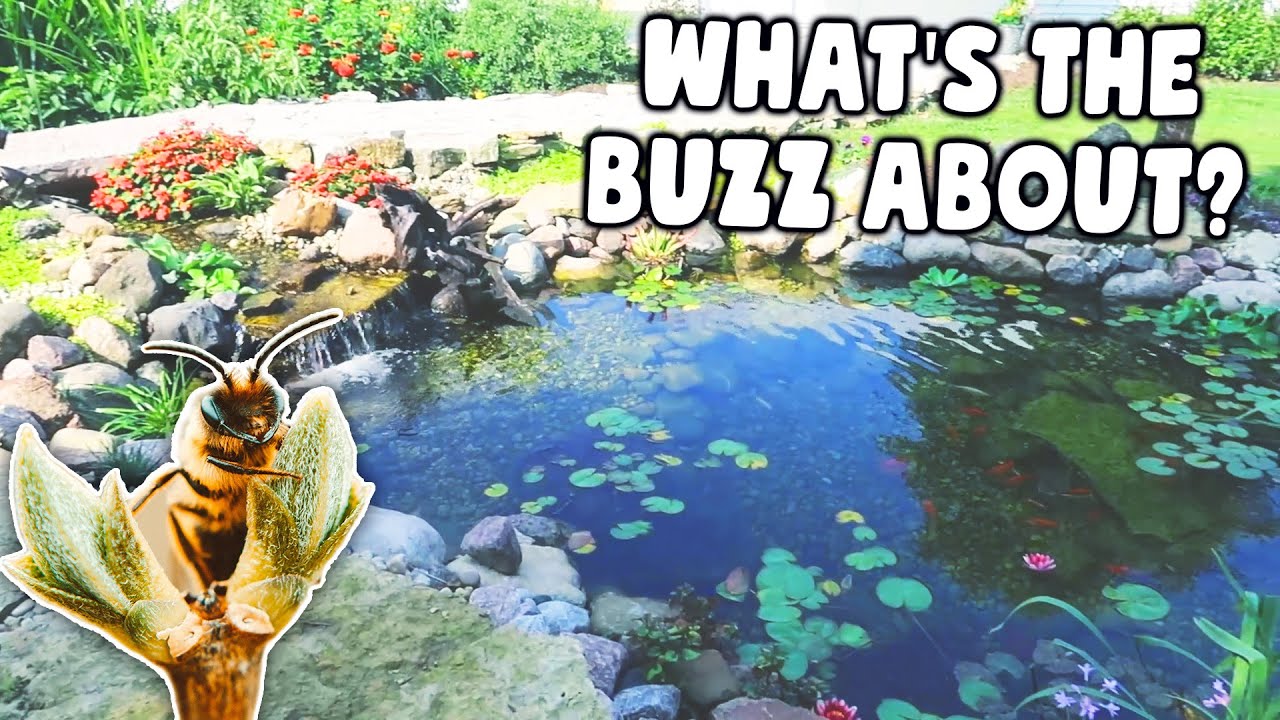 This *FARM POND* Could Not BEE Any Better!