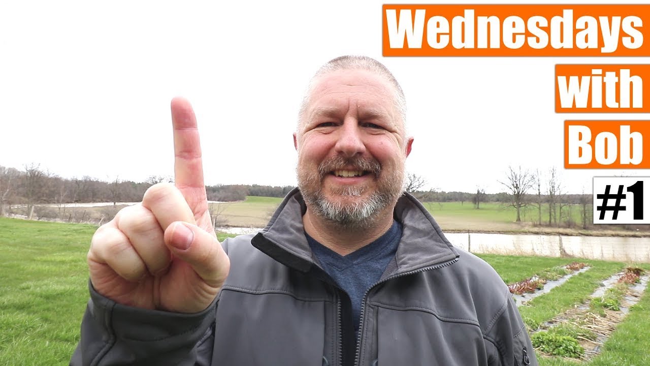Wednesdays with Bob #1 - April 22 2020