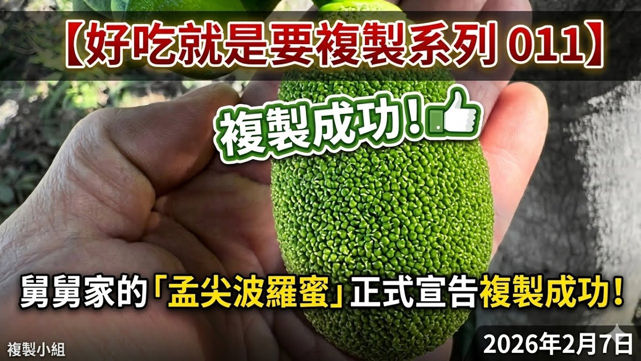 舅舅家的「孟尖波羅蜜」正式宣告複製成功！2026年2月7日