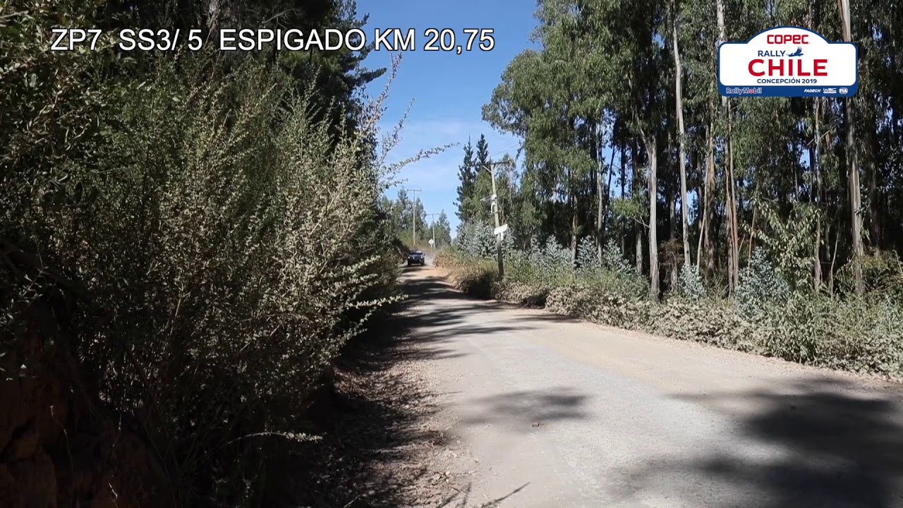 ZP7   VIDEO    ESPIGADO