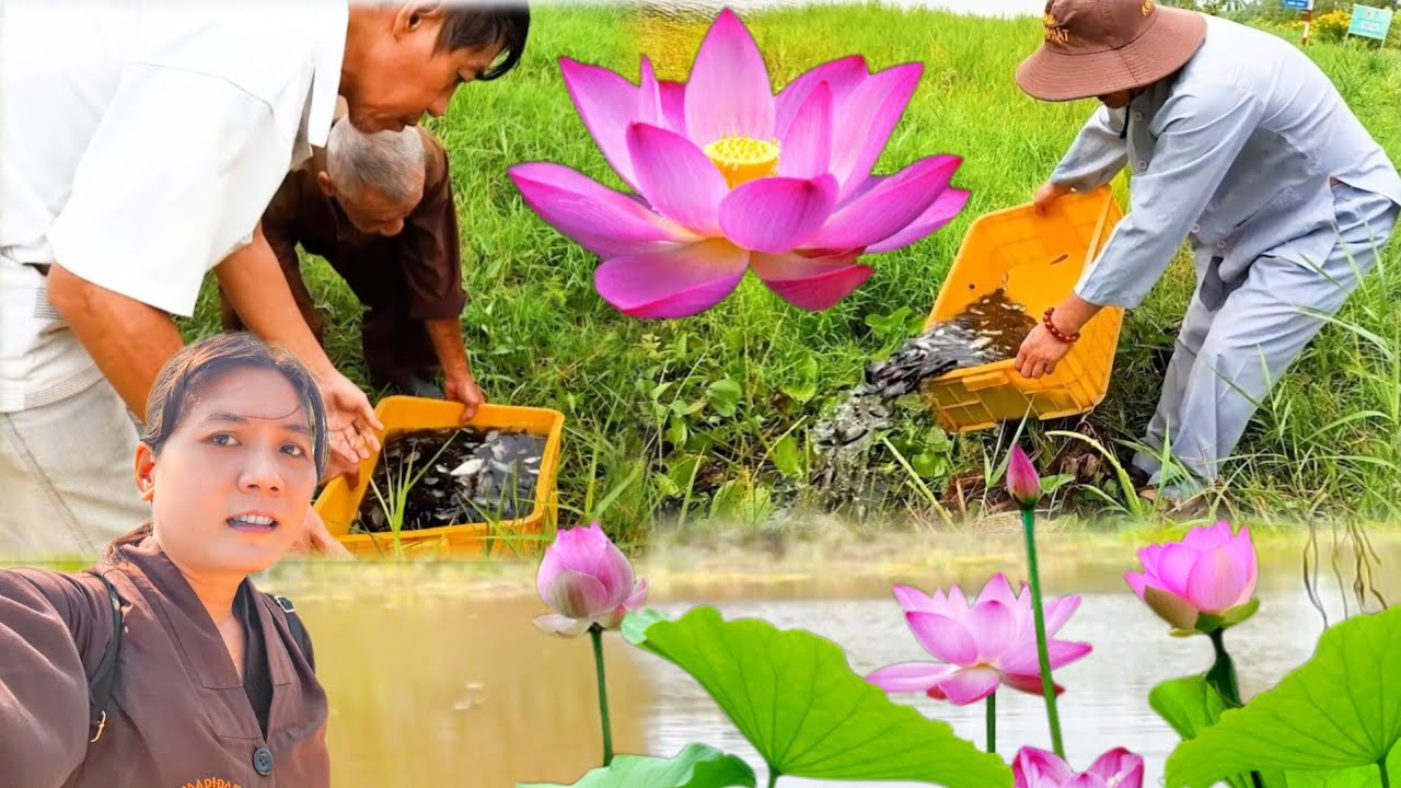 Đức Viên/Đạo Tràng Liên Hoa phóng sanh rừng U Minh Hạ 02/2026