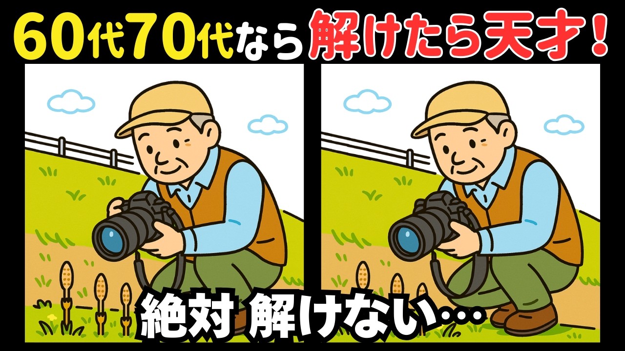 【間違い探し】注意力を鍛える脳活！高齢者も若者も大満足のイラスト＊懐かしいイラスト つくし#321