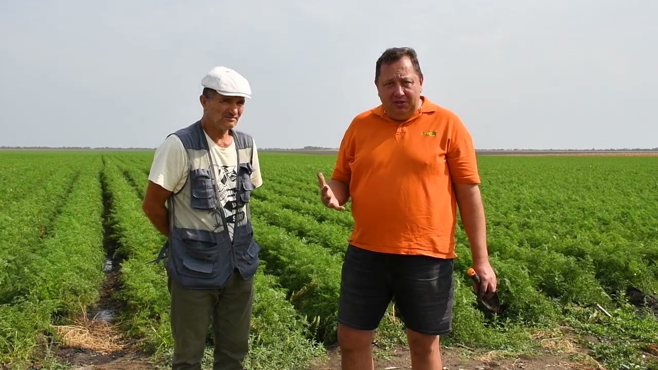 Биозащита овощей в Молдове в цифрах: высокая урожайность, экспортное качество и огромная экономия