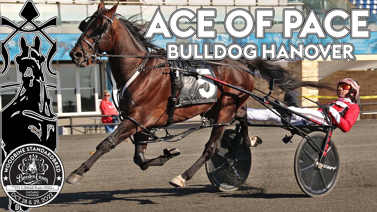 2022 Breeders Crown - Ace Of Pace - Bulldog Hanover