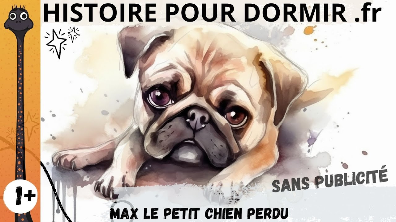 Histoire pour dormir en video, sans publicité bébé enfant 1-2 ans - Max le petit chien perdu
