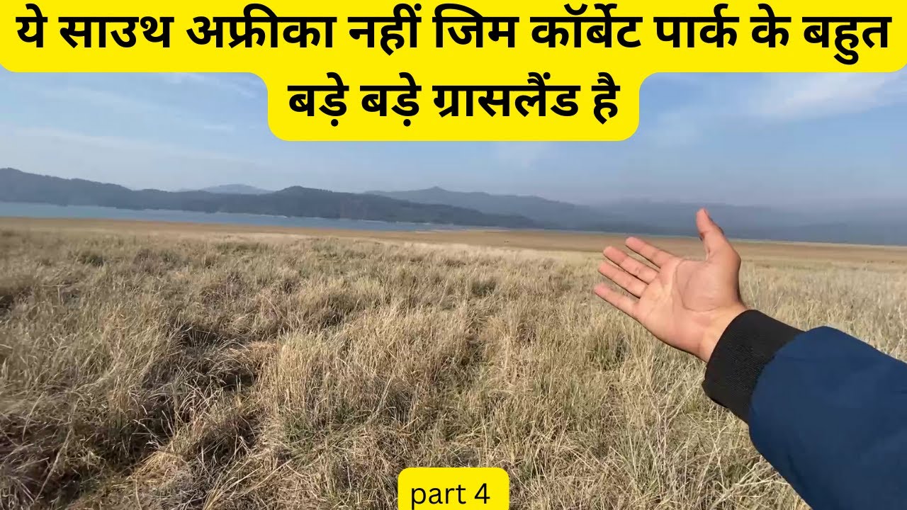 ये साउथ अफ्रीका नहीं जिम कॉर्बेट पार्क के बहुत बड़े बड़े ग्रासलैंड है #jimcorbett