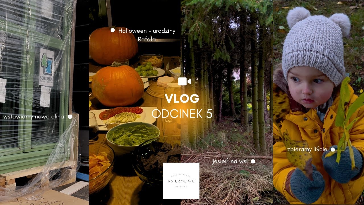 ODCINEK 5 | WSTAWIAMY NOWE OKNA | HALLOWEENOWE URODZINY RAFAŁA | DALSZE REMONTY SIEDLISKA 🎃🍁🤯🕯️