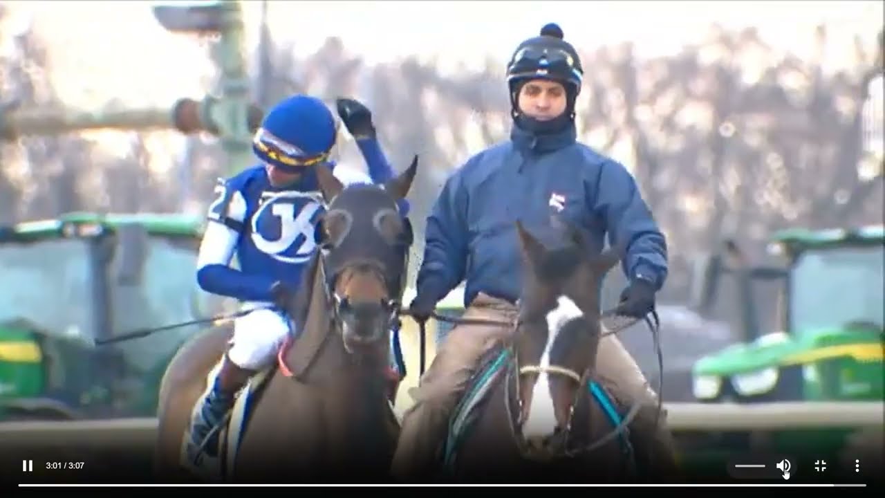 RACE 1 AQUEDUCT USA -11 FEB 2026