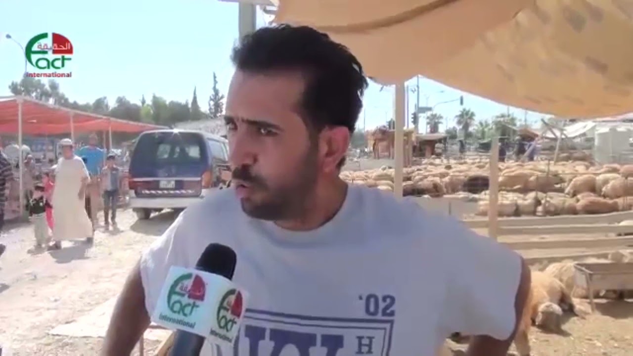 2884  عشية العيد   ارتفاع اسعار الاضاحي   الحقيقة الدولية