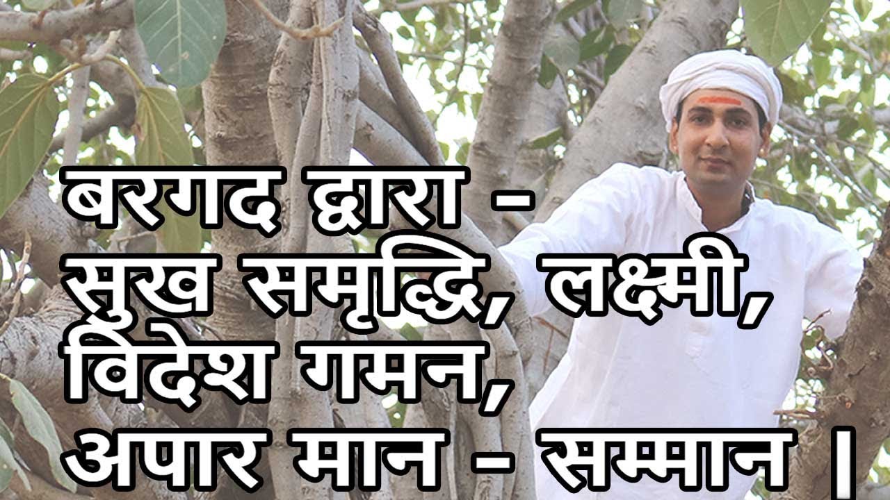 बरगद द्वारा आकस्मिक धन लाभ | विदेश में मान सम्मान | Bargad ke Dwara Paaye Jeevan me Khushiya