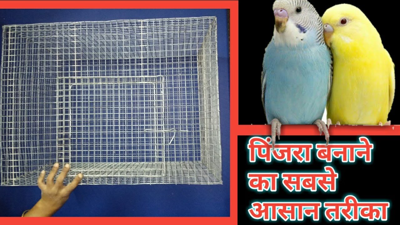 How To Make Birds Cage At Home || budgies parrot ka cage kese banaye || bird ka pinjra kese banaye?
