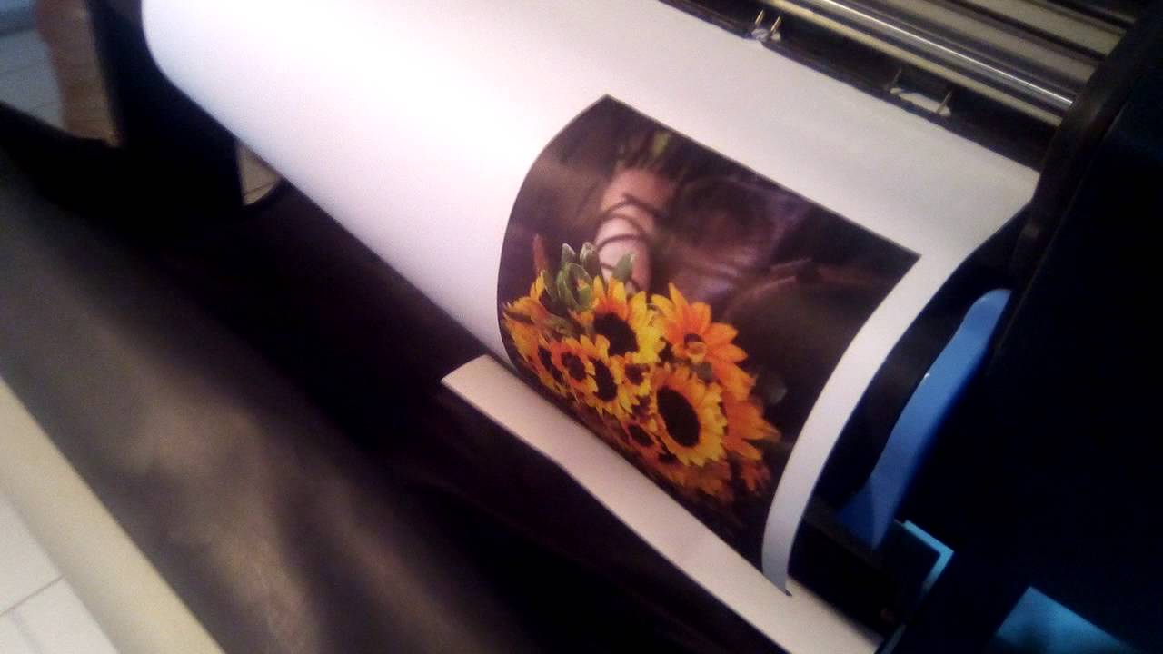 PLOTTER HP DESIGNJET 800