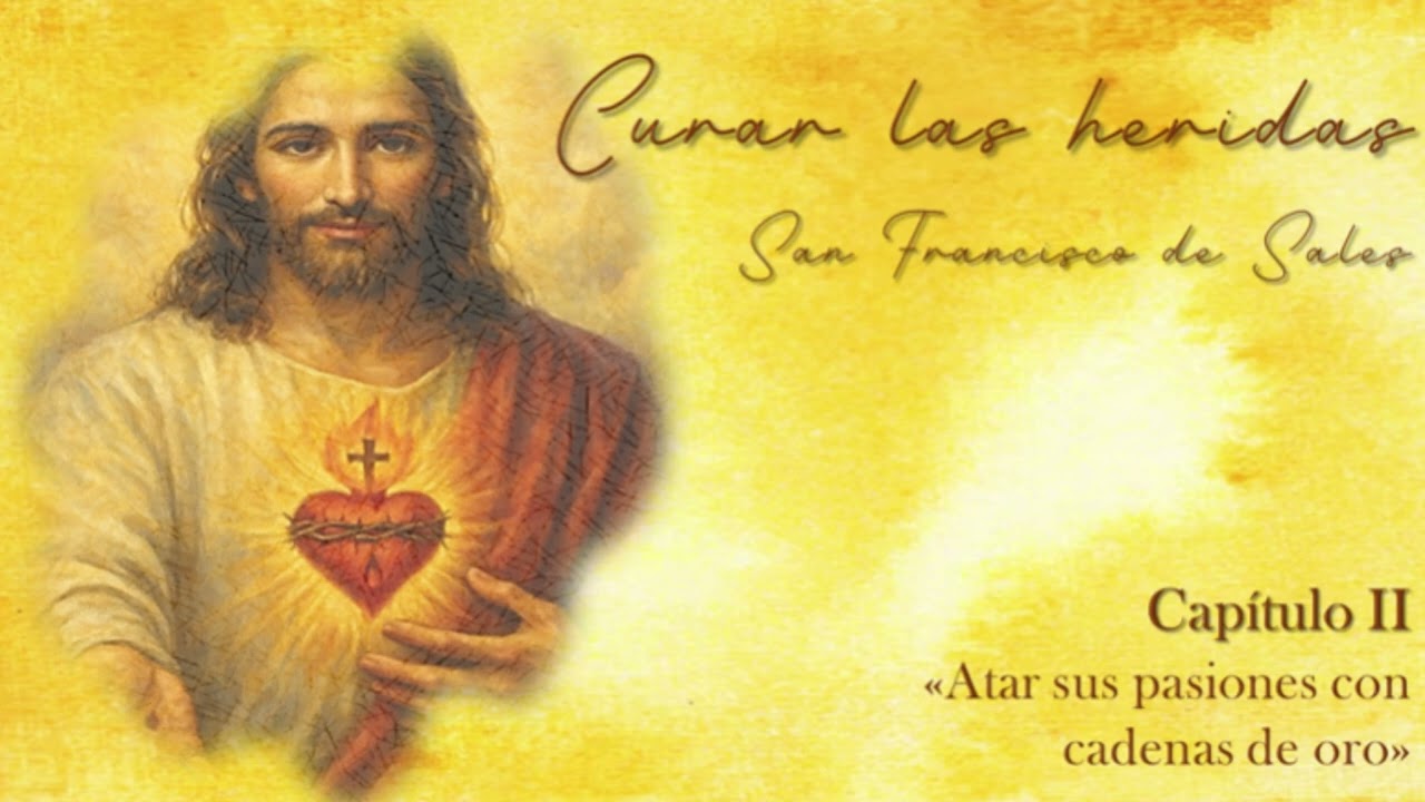 (5) CURAR LAS HERIDAS, San Francisco de Sales