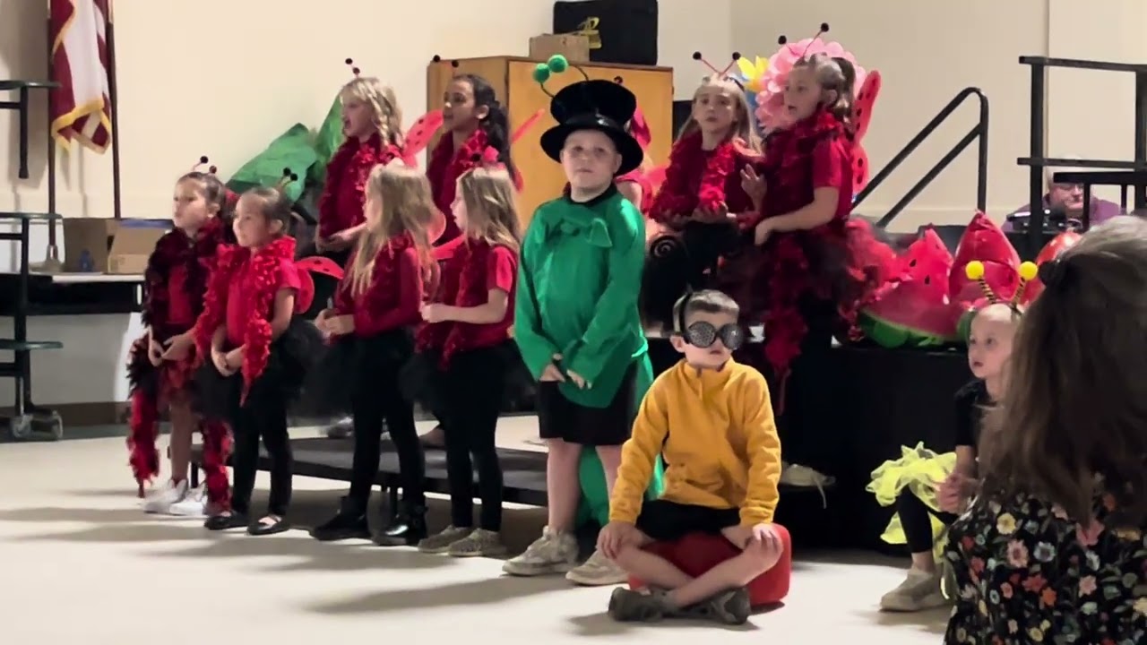 Lightening bug song 