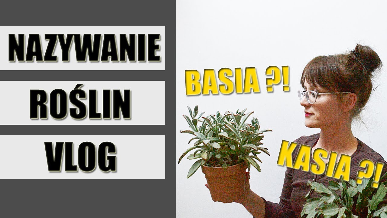 Czy mówienie do ROŚLIN i nadawanie im imion wpływa na ich szybszy wzrost ?🌱  VLOG