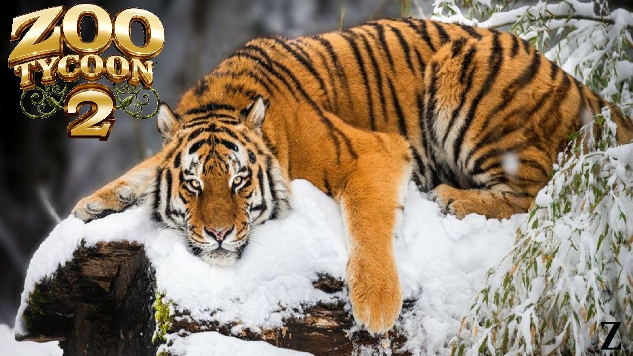 Zoo Tycoon 2 Exhibit Speed Build || Siberian Tiger 2