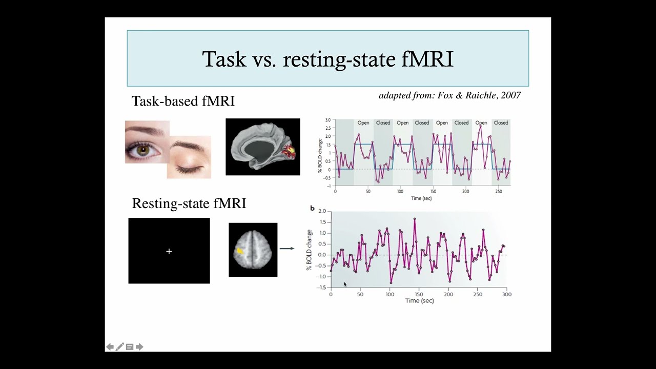 Summer Course 2018: 10 Resting State fMRI by Catie Chang