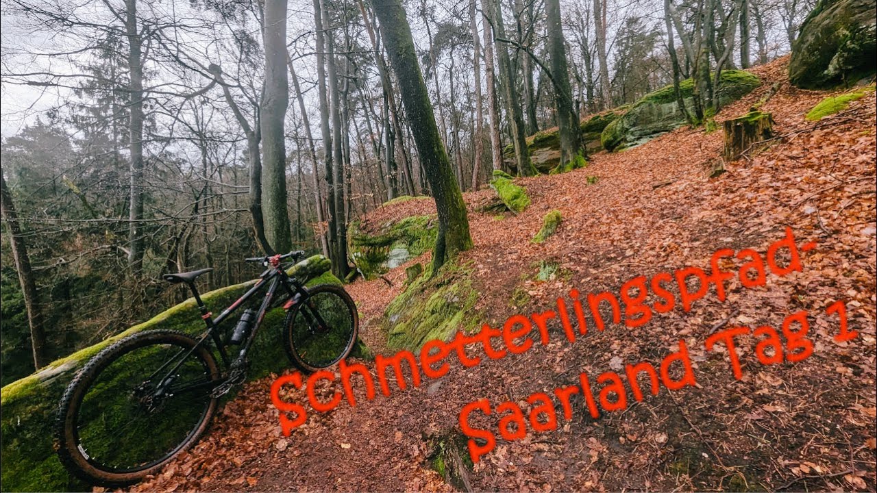Saarland Trails Tag 1 - Schmetterlingspfad