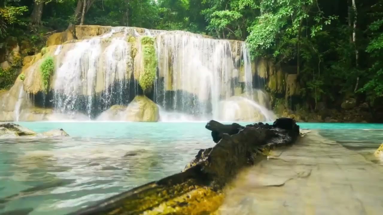 4K Free Stock Footages | #freevideosforyoutube  | video library |#freevideo#freevideosforyoutube