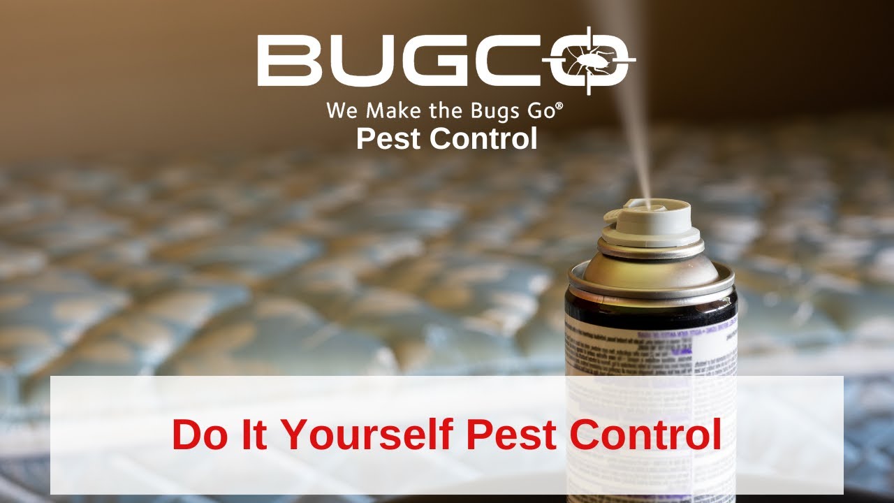 Do It Yourself (DIY) Pest Control